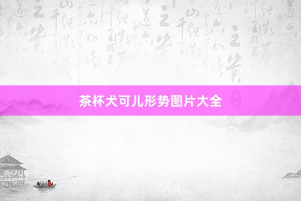 茶杯犬可儿形势图片大全