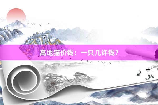 高地猫价钱：一只几许钱？